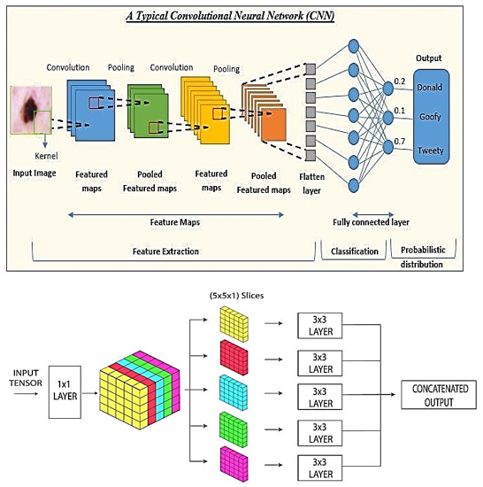 Graphical Abstract