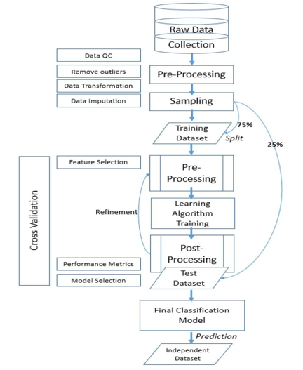 Graphical Abstract