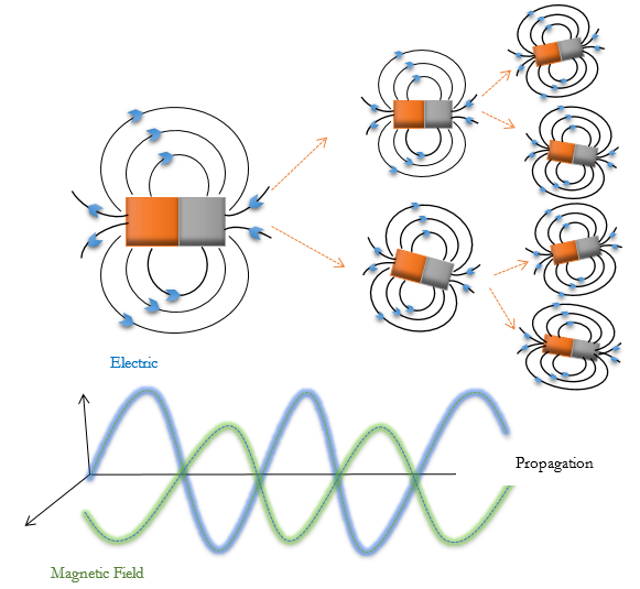 Graphical Abstract