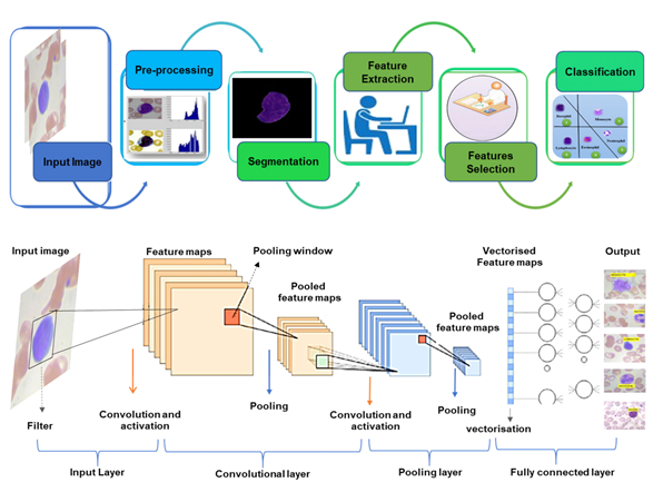 Graphical Abstract
