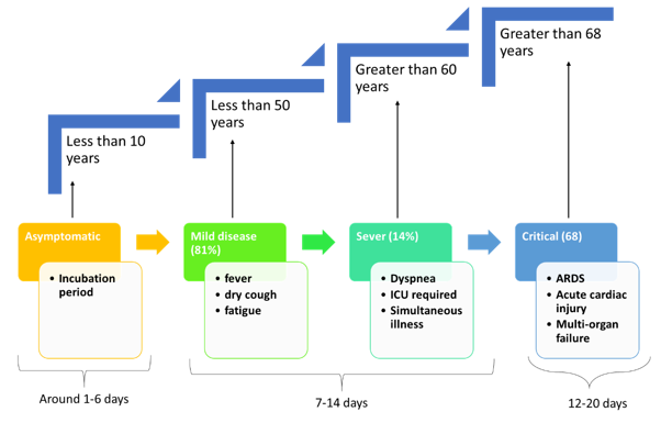 Graphical Abstract